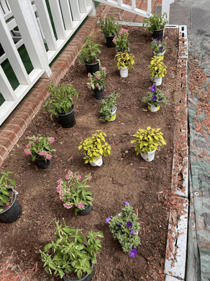 Planter Boxes - Time to spruce up your front yard! Let Ruiz Lawn Care plant the perfect Daisies or Dandelions for your front yard.