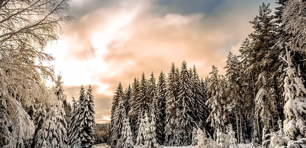 Ski Resort / Denver Transportation - We provide town car service rides from the Denver area to the Colorado Ski Mountains and back. Plenty of room for your family, friends and your ski gear!
