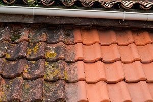 Pressure Cleaning Services - Book your next pressure washing job today!