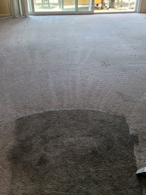 Carpet Cleaning - We clean and remove pet stains and odors. We also can apply protection for future staining and soil prevention.