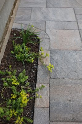 Side Yard Walkway - Walkway + Patio Side Yard Walkway - Walkway + Patio