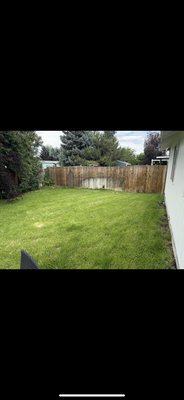 Little yard restoration, weeding and tree trimming! - Little mowing,  tree trimming, and weeding! We would love to give your yard some love too!! Please call for lawn care needs!