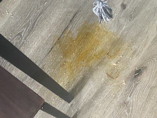 Airbnb overall - This Ari BnB was destroyed by a renter. Proficiency cleaning came in and pet treated, cleaned and gave this AirBnB a complete overall including touch up paint to many damaged areas. Airbnb overall - This Ari BnB was destroyed by a renter. Proficiency cleaning came in and pet treated, cleaned and gave this AirBnB a complete overall including touch up paint to many damaged areas.