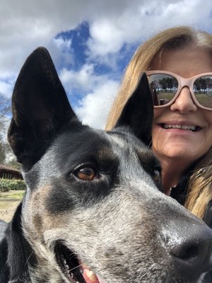 Pet sitting, dog walking - Pet sitting, dog walking and drop-in -visits Pet sitting, dog walking - Pet sitting, dog walking and drop-in -visits