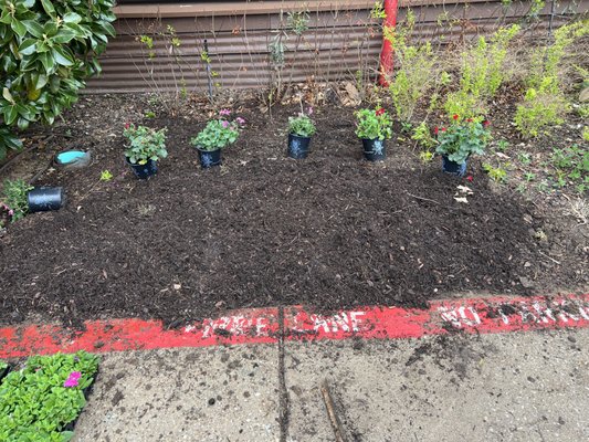 Renewal of spring flowers - The flower beds are being prepared for spring