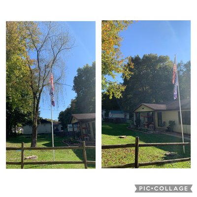 Tree Removal - Tree Removal services. Tree Removal - Tree Removal services.