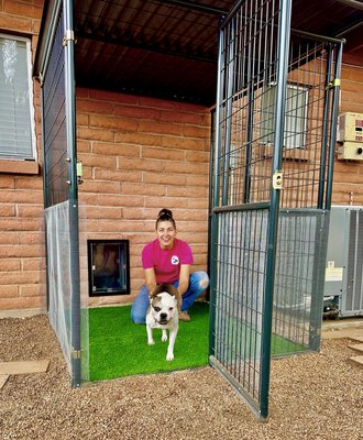 Custom Dog Runs - We build and install custom dog runs and kennels. We also repair and paint or stain existing dog runs and kennels. Custom Dog Runs - We build and install custom dog runs and kennels. We also repair and paint or stain existing dog runs and kennels.