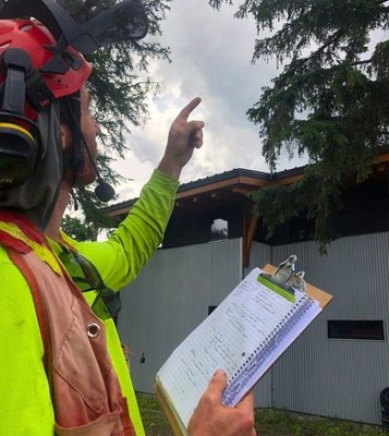 Tree Inspections & Arborist - A tree inspection is the actual examination or assessment of the trees carried out by our certified arborists. This process involves assessing the tree’s health, identifying any signs of disease, infestation, or tree branch structural issues, and determining the tree’s overall condition.
An arborist’s report is a detailed document we generate after the tree inspection. This report outlines the findings of the inspection, providing a comprehensive account of the tree’s health status, identified issues, and risk assessments.
The Arborist report includes expert recommendations for tree care treatment, pruning maintenance, or other necessary actions based on the findings of the inspection.
Contact or call Samsara today for a free quote, and let our certified arborists help ensure the longevity and vitality of your trees. Tree Inspections & Arborist - A tree inspection is the actual examination or assessment of the trees carried out by our certified arborists. This process involves assessing the tree’s health, identifying any signs of disease, infestation, or tree branch structural issues, and determining the tree’s overall condition.
An arborist’s report is a detailed document we generate after the tree inspection. This report outlines the findings of the inspection, providing a comprehensive account of the tree’s health status, identified issues, and risk assessments.
The Arborist report includes expert recommendations for tree care treatment, pruning maintenance, or other necessary actions based on the findings of the inspection.
Contact or call Samsara today for a free quote, and let our certified arborists help ensure the longevity and vitality of your trees.