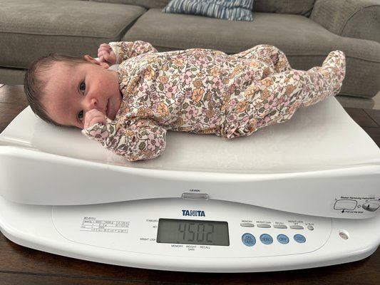 Lactation Support - Visit website to book a prenatal, breastfeeding, pumping, or bottle feeding consult! Lactation Support - Visit website to book a prenatal, breastfeeding, pumping, or bottle feeding consult!