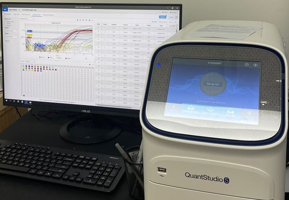 COVID-19 TESTING - Elite DIAGNOSTICS Laboratories Offering COVID-19 Rapid PCR, RT-PCR, and Rapid Antigen Testing Performed Through Nasal Swabs For Travelers and Patients Who Are Suspected Of Having Coronavirus Infection (COVID-19).
REAL-TIME PCR TESTING
Elite Diagnostics Laboratories offer highly accurate Real-Time PCR (Polymerase Chain Reaction) testing for the qualitative detection of the COVID-19 virus.
RAPID PCR TESTING
The Accula SARS-CoV-2 Test is a nucleic acid amplification test (NAAT) for detection of SARS-CoV-2 viral RNA in approximately 30 minutes.
100% positive and negative percent agreement in clinical studies.
RAPID ANTIGEN TESTING "RAT"
While the PCR detects the RNA of the virus, the RAT detects the the presence viral protein (the spike protein) in the nasal swab.
RATs require a higher quantity of the virus in the sample than the PCR.
As a result, RATs are less sensitive at detecting cases, especially in asymptomatic people or people who are early in their infectious period.
A positive result in any RAT may require a confirmation test by RT-PCR swab . COVID-19 TESTING - Elite DIAGNOSTICS Laboratories Offering COVID-19 Rapid PCR, RT-PCR, and Rapid Antigen Testing Performed Through Nasal Swabs For Travelers and Patients Who Are Suspected Of Having Coronavirus Infection (COVID-19).
REAL-TIME PCR TESTING
Elite Diagnostics Laboratories offer highly accurate Real-Time PCR (Polymerase Chain Reaction) testing for the qualitative detection of the COVID-19 virus.
RAPID PCR TESTING
The Accula SARS-CoV-2 Test is a nucleic acid amplification test (NAAT) for detection of SARS-CoV-2 viral RNA in approximately 30 minutes.
100% positive and negative percent agreement in clinical studies.
RAPID ANTIGEN TESTING "RAT"
While the PCR detects the RNA of the virus, the RAT detects the the presence viral protein (the spike protein) in the nasal swab.
RATs require a higher quantity of the virus in the sample than the PCR.
As a result, RATs are less sensitive at detecting cases, especially in asymptomatic people or people who are early in their infectious period.
A positive result in any RAT may require a confirmation test by RT-PCR swab .