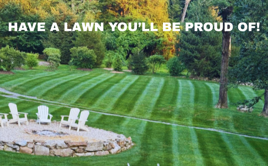 Lawn Fertilization / Weed Control - At Tick & Turf, we provide professional lawn fertilization and weed control programs designed to improve the health, color, and overall appearance of your lawn. Our treatments are applied evenly and at the proper rates to promote strong growth while controlling unwanted weeds.
We use a combination of slow-release fertilizers and targeted weed control applications to deliver consistent results throughout the season. Each lawn is treated with attention to detail, focusing on achieving a healthy, well-maintained appearance.
As a small, owner-operated company, we are committed to providing reliable service and quality results on every property we treat. Lawn Fertilization / Weed Control - At Tick & Turf, we provide professional lawn fertilization and weed control programs designed to improve the health, color, and overall appearance of your lawn. Our treatments are applied evenly and at the proper rates to promote strong growth while controlling unwanted weeds.
We use a combination of slow-release fertilizers and targeted weed control applications to deliver consistent results throughout the season. Each lawn is treated with attention to detail, focusing on achieving a healthy, well-maintained appearance.
As a small, owner-operated company, we are committed to providing reliable service and quality results on every property we treat.