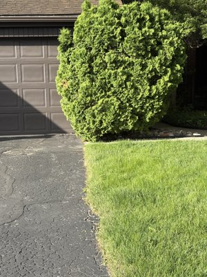 Spring bush trimming 2025 - We recently had the pleasure of working with an amazing customer who needed her property’s overgrown bushes trimmed to perfection. Our team took great care to sculpt and refine every detail, transforming her landscape into a sleek, chic masterpiece. She was absolutely thrilled with the results and so were we! 🌿✨ Let us bring that same level of care and precision to your outdoor space!!! Spring bush trimming 2025 - We recently had the pleasure of working with an amazing customer who needed her property’s overgrown bushes trimmed to perfection. Our team took great care to sculpt and refine every detail, transforming her landscape into a sleek, chic masterpiece. She was absolutely thrilled with the results and so were we! 🌿✨ Let us bring that same level of care and precision to your outdoor space!!!