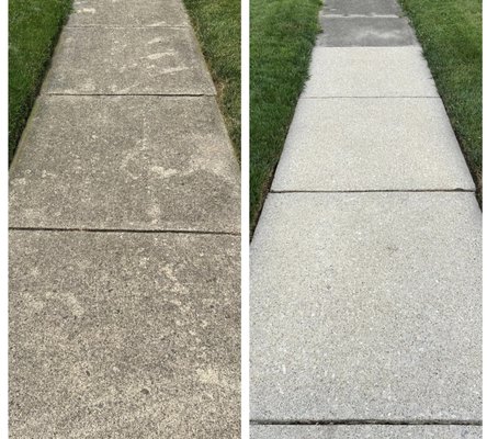 PRESSURE WASH SERVICES - In these projects, we make it a point to use safe practices, procedures, and products. While some of our exterior surface cleaning is done using just water, our soft washing services rely on cleaning solutions for algae, moss, oxidation, oil spills, etcetera. We use soft washing for surfaces that are too fragile for high psi, like asphalt shingles and windows. PRESSURE WASH SERVICES - In these projects, we make it a point to use safe practices, procedures, and products. While some of our exterior surface cleaning is done using just water, our soft washing services rely on cleaning solutions for algae, moss, oxidation, oil spills, etcetera. We use soft washing for surfaces that are too fragile for high psi, like asphalt shingles and windows.