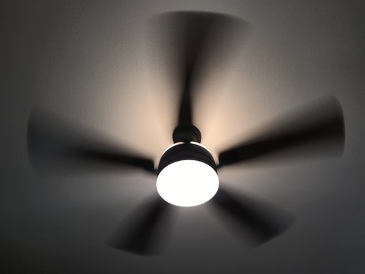 Led light, brushless motor, remote control, energy efficient - ceiling fan installation - Led light, brushless motor, remote control, energy efficient - ceiling fan installation Led light, brushless motor, remote control, energy efficient - ceiling fan installation - Led light, brushless motor, remote control, energy efficient - ceiling fan installation