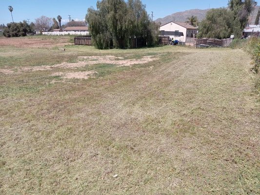 Clean UP - Huge backyard clean-up but not a problem for my team and I. Clean UP - Huge backyard clean-up but not a problem for my team and I.