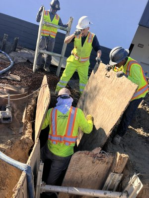 Sewer Replacement Alameda CA - Full sewer line replacement completed in the City of Alameda. The existing line was damaged and causing major drainage issues, so our team installed a new code-compliant sewer system with proper grade, cleanouts, and long-term durability. Fast turnaround, clean work, and a fully restored sewer line for the homeowner.
If you are in Alameda or surrounding cities like Oakland, San Leandro, Hayward, or Berkeley and dealing with sewer backups, root intrusion, or broken pipes, our team provides professional trenchless and open-trench sewer replacements with reliable results you can count on. Sewer Replacement Alameda CA - Full sewer line replacement completed in the City of Alameda. The existing line was damaged and causing major drainage issues, so our team installed a new code-compliant sewer system with proper grade, cleanouts, and long-term durability. Fast turnaround, clean work, and a fully restored sewer line for the homeowner.
If you are in Alameda or surrounding cities like Oakland, San Leandro, Hayward, or Berkeley and dealing with sewer backups, root intrusion, or broken pipes, our team provides professional trenchless and open-trench sewer replacements with reliable results you can count on.