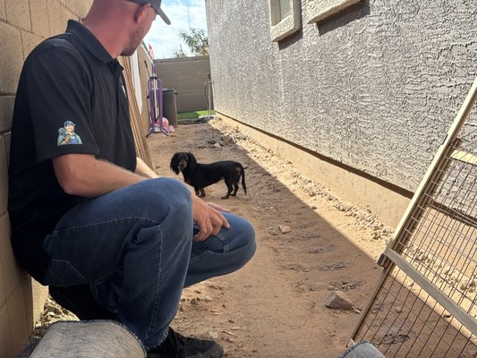 Job Site Visitors: Our Furry Friends - One of the perks of our job? Meeting some amazing furry friends along the way 🐶🐱 We’re always happy to work around our four-legged site supervisors. And of course, we have our office pup- Mr. Marshall.