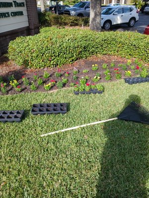 landscapes and design - call today for your free estimate on landscape design we also specialize in hedge trimming lawn maintenance mulching sod installatio landscapes and design - call today for your free estimate on landscape design we also specialize in hedge trimming lawn maintenance mulching sod installatio