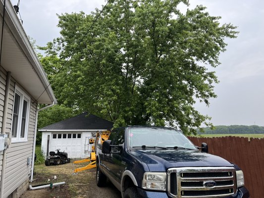 Tree Removal - We offer all types of Tree Services from Tree Trimming, Stump Removal, Clean Ups, Tree Removal, Land Clearing, and more.