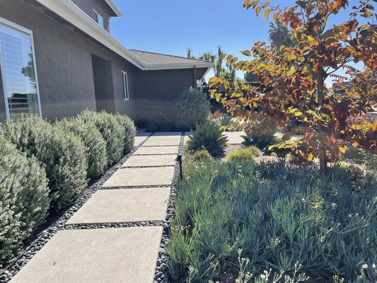 Landscape Remodel Front and Back Cardiff - A stunning example of modern outdoor design, this property features a sleek concrete driveway and walkway accented with decorative stone inlays and drought-tolerant landscaping. Thoughtfully selected plants, clean lines, and balanced textures create a welcoming, low-maintenance exterior that enhances curb appeal while embracing a contemporary aesthetic. Designed for beauty, functionality, and long-lasting quality.