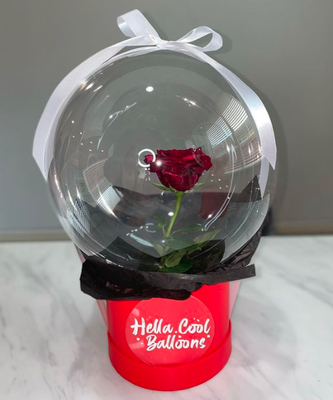 💘 "Endless Love" balloon bouquet in our Love Collection. This classic 🎶Tale As Old As Time 🎶 - Introducing the "Endless Love" balloon bouquet in our Love Collection. This classic 🎶Tale As Old As Time 🎶 look is givin' some Beauty and the Beast vibes - YASS! Am I right?!? This is the only item in the collection available for shipping. Order yours through www.hellacoolballoons.com
❤️ single permanent botanical 🌹
❤️ available for shipping
#hellacoolballoonsbygg #hellacoolballoons #hellacoolballoonsbouquet #balloonbouquet #balloongifts #sacramentoballoons #bayareaballoons
