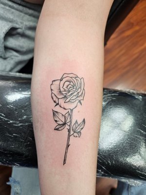 Aaron - Aaron began tattooing in Illinois before moving here for better weather. Aaron likes to do lettering, American Traditional, Neo-Traditional designs; he has a wall of original designs he has been creating for over 15 years and can give you a tattoo or piercing you will be proud of.