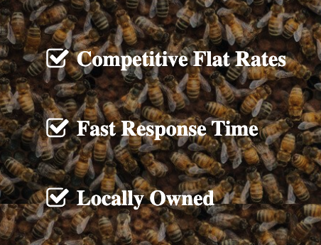 Bee and Hornet Nest Removal - Bee and Hornet Nest Removal Bee and Hornet Nest Removal - Bee and Hornet Nest Removal