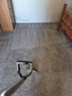 Carpet re stretch 26 - One of our AirBnb clients needed a quick re stretch and cleaning between guests as the carpet was starting to buckle. We were able to squeeze them in between appointments. Another Carpet Saved!! Carpet re stretch 26 - One of our AirBnb clients needed a quick re stretch and cleaning between guests as the carpet was starting to buckle. We were able to squeeze them in between appointments. Another Carpet Saved!!