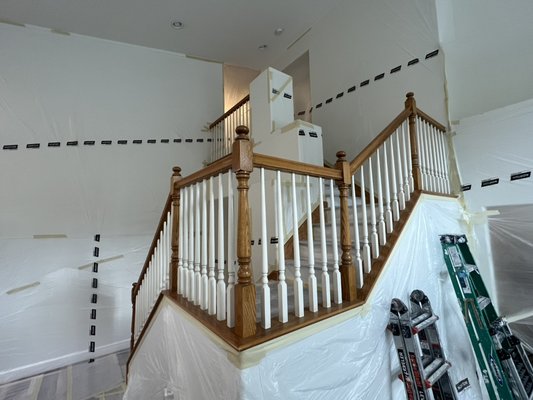 Paint Project - Paint on a stain handrail. Giving it a modern look.