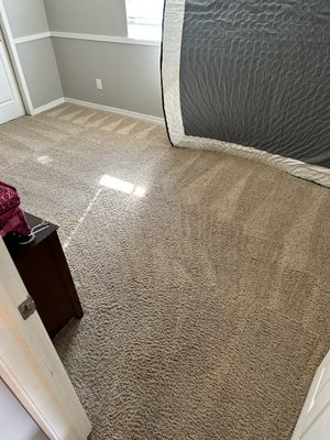 Carpet Cleaning - Carpet Cleaing for a rental home after a dog had its way with the carpet Carpet Cleaning - Carpet Cleaing for a rental home after a dog had its way with the carpet