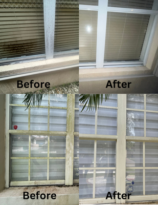 Exterior Window Cleaning - These homes were especially dirty and had mold and mildew built up all over, but of course, it was no job we couldn't handle with ease. We got each one done in about 2 hours and the customers were ecstatic and even signed up to get it done quarterly! Exterior Window Cleaning - These homes were especially dirty and had mold and mildew built up all over, but of course, it was no job we couldn't handle with ease. We got each one done in about 2 hours and the customers were ecstatic and even signed up to get it done quarterly!