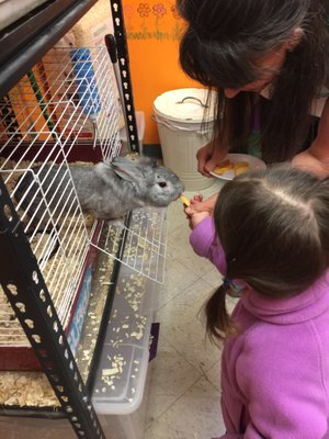 Come Pet a Live Animal with Me! - In the Pet Shop you can pet a Guinea Pig, a fluffy furry Rabbit, or a rough Bearded Dragon.

Make sure to bring your camera to capture the smiles!
No extra charge
