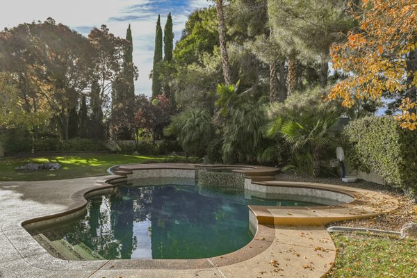 Ute Meadows Cir - New Freeform Pool and Spa Ute Meadows Cir - New Freeform Pool and Spa