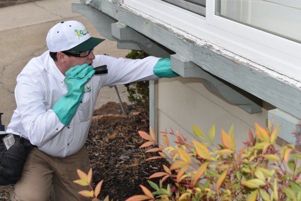 Free Rodent Exclusion Report - Rodents are the most destructive vertebrate pests in our area. They can chew wires, puncture pipes, and that's just the beginning. After months of living in your attic, the droppings and urine will cause a biological disaster. Get this free Rodent Entry Point inspection to keep your home free from these pests. Free Rodent Exclusion Report - Rodents are the most destructive vertebrate pests in our area. They can chew wires, puncture pipes, and that's just the beginning. After months of living in your attic, the droppings and urine will cause a biological disaster. Get this free Rodent Entry Point inspection to keep your home free from these pests.