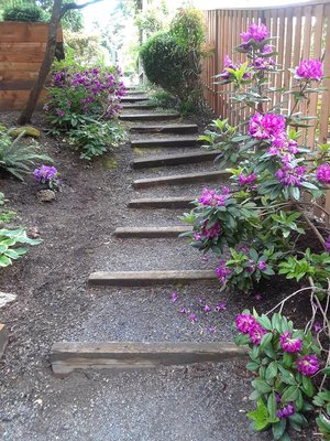 Landscaping Services! - Landscaping for Residential Services! Please call at any time and we can get the job done! Fast & efficient services. No job is too big or too small. Mike's motto for business is to make any services you need perfected. Call now!