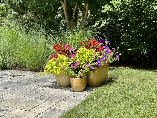 Flower season - Each season is essential for our Gardens to bring them to life with the variety of colors that nature offers us, share your ideas with us and together we will create the landscape design of your dreams! Get in touch with our experts to provide you with personalized advice on your future projects!.