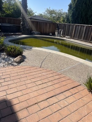 Green to Clean - This pool had been left sitting for over a year. The team made quick work of this getting it fresh and sparkly in no time. Green to Clean - This pool had been left sitting for over a year. The team made quick work of this getting it fresh and sparkly in no time.