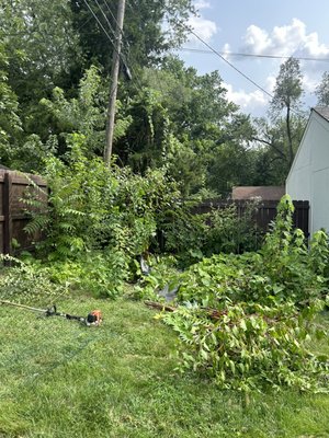 Cleaning and gardening - a cleanup to create a new garden Cleaning and gardening - a cleanup to create a new garden