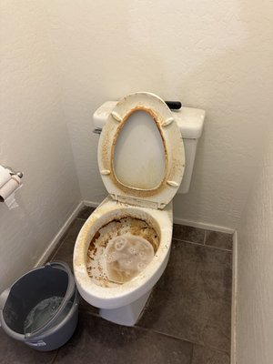Nightmare in the bathroom - This is the dirtiest bathroom we have ever encountered, but it wasn't a problem for us because we have the ability to clean areas that seem difficult to clean.