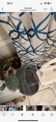 Bathroom Deep Clean
Before & Afters - Bathroom deep clean, was black mold, feces, & urine that we had to clean up. The owner of the house was more than thrilled, she said it was a brand new bathroom. Bathroom Deep Clean
Before & Afters - Bathroom deep clean, was black mold, feces, & urine that we had to clean up. The owner of the house was more than thrilled, she said it was a brand new bathroom.