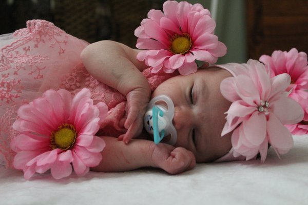 Newborn Photos of Elizabeth - These are the newborn photos of my little girl. She was such a good little sport!
