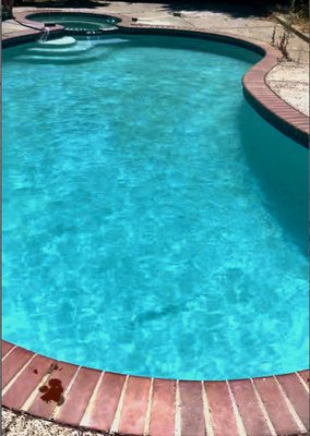 From Green to Clean - Don't let algae get you down - call Splash Brothers Pool Cleaning!