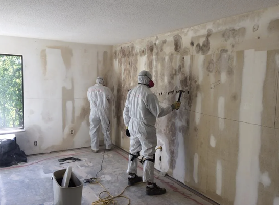 Mold Remediation - From storm to fire damage, we specialize in restoration services. Our team handles mold remediation, water damage restoration, and specialty cleaning with expertise.
Here is what our clients have said:
"From the first consultation, I felt reassured that we were in good hands. RPE was empathetic and understanding, which made a huge difference. Their attention to detail ensured that every corner of our home was addressed. We are so grateful!" -Miguel and Ivaney Mold Remediation - From storm to fire damage, we specialize in restoration services. Our team handles mold remediation, water damage restoration, and specialty cleaning with expertise.
Here is what our clients have said:
"From the first consultation, I felt reassured that we were in good hands. RPE was empathetic and understanding, which made a huge difference. Their attention to detail ensured that every corner of our home was addressed. We are so grateful!" -Miguel and Ivaney