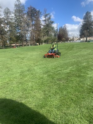 LAWN CARE - Green Walnut Landscaping Provides Lawn Care to Commercial Properties. Some of the services included:
Fertilizer
Seeding/over-seeding
Weed Co LAWN CARE - Green Walnut Landscaping Provides Lawn Care to Commercial Properties. Some of the services included:
Fertilizer
Seeding/over-seeding
Weed Co