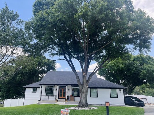 Clermont Project Highlight - Clermont Project Highlight 🌳🏡
We had the pleasure of working on a beautiful property in Clermont, where five massive oak trees were overshadowing the home. After a full day of careful trimming and removal, the house is now fully visible and looking incredible!
Big shoutout to our crew (a.k.a. the Bonsai Boys) for their precision and hard work. Another job well done by Sniper Tree Services!
#ClermontFL #TreeTrimming #SniperTreeServices #TreeRemoval #BonsaiBoys #BeforeAndAfter #CurbAppeal Clermont Project Highlight - Clermont Project Highlight 🌳🏡
We had the pleasure of working on a beautiful property in Clermont, where five massive oak trees were overshadowing the home. After a full day of careful trimming and removal, the house is now fully visible and looking incredible!
Big shoutout to our crew (a.k.a. the Bonsai Boys) for their precision and hard work. Another job well done by Sniper Tree Services!
#ClermontFL #TreeTrimming #SniperTreeServices #TreeRemoval #BonsaiBoys #BeforeAndAfter #CurbAppeal