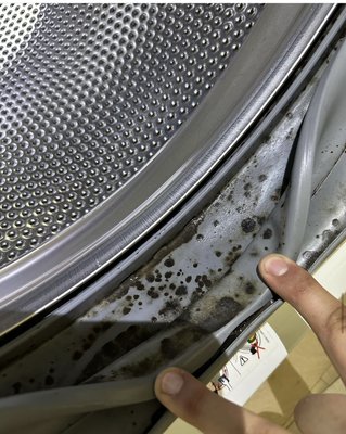 Washer Gasket Replacement - Is you Washer starting to smell and nothing is getting rid of that odor? Give us a call we know the fix! Washer Gasket Replacement - Is you Washer starting to smell and nothing is getting rid of that odor? Give us a call we know the fix!