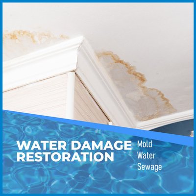 Water Damage Restoration - 24/7 Emergency Services - At ServPlus Water Damage Restoration, we take pride in delivering expert, reliable residential and commercial water damage restoration throughout Oregon City, Portland, and surrounding areas.
Our full-service restoration process includes water extraction, structural drying, dehumidification and damage repair — all performed by licensed, insured, and IICRC-certified professionals.
We’re proud of our A+ BBB rating, and our team is available 24/7 to respond to emergencies and minimize damage fast. When water strikes, trust ServPlus Water Damage Restoration to restore your property quickly and professionally. Water Damage Restoration - 24/7 Emergency Services - At ServPlus Water Damage Restoration, we take pride in delivering expert, reliable residential and commercial water damage restoration throughout Oregon City, Portland, and surrounding areas.
Our full-service restoration process includes water extraction, structural drying, dehumidification and damage repair — all performed by licensed, insured, and IICRC-certified professionals.
We’re proud of our A+ BBB rating, and our team is available 24/7 to respond to emergencies and minimize damage fast. When water strikes, trust ServPlus Water Damage Restoration to restore your property quickly and professionally.