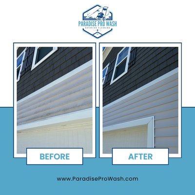 House wash - Vinyl siding is prone to heavy growth of algae, mold and mildew especially in shaded areas, like those under large trees. This is where the biological growth thrives.