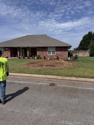 Stump removals - This is just random stump removals Stump removals - This is just random stump removals