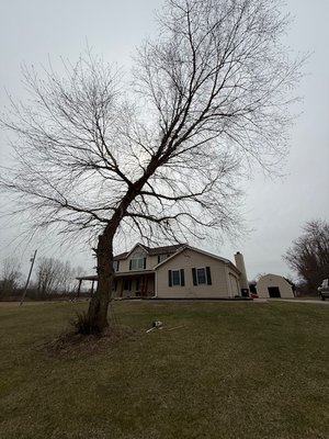 Leave Lay - Customer was equipped to remove the wood/brush and wanted this tree dropped. We dropped the tree safely away from his house and cut it up into manage pieces for his tractor to take away.